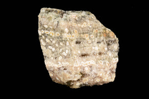 Script Fossil Jasper 3 1/2" 9-14 Oz Solar Plexus Chakra - Kidz Rocks