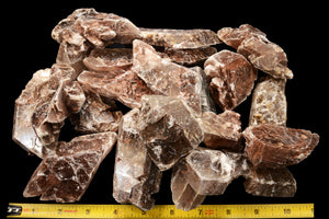 Selenite Congo 2 1/2" 3-5 Oz Crown Chakra - Kidz Rocks