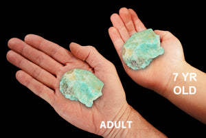 Amazonite Crystal 2" to 3" 6-8 Oz All Chakras - Kidz Rocks