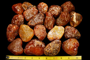 Carnelian Crystal 2 1/2" 4-6 Oz Sacral Chakra - Kidz Rocks