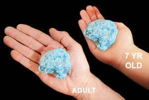 Blue Apatite 2 1/2" 6-9 Oz Throat Chakra - Kidz Rocks