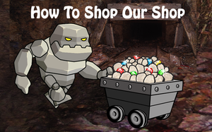 How To Shop Our Website Store