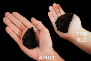 Black Obsidian 2 1/2" 4-7 Oz Root Chakra