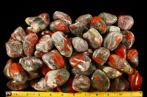 Bloodstone Tumbled 1 3/4" 2-3 Oz Heart Chakra