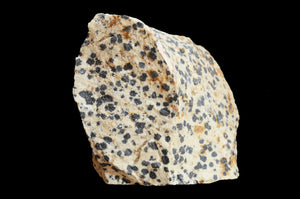 Dalmatian Jasper 3" 8-12 Oz Root Chakra