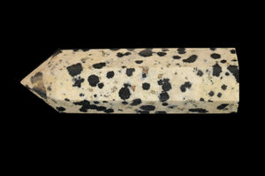 Dalmatian Jasper Crystal 2 3/4" Root Chakra