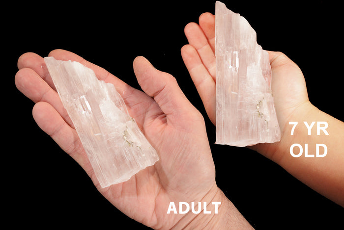 Kernite Crystal 3 1/2" 8-12 Oz Crown Chakra Healing