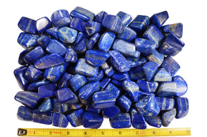 Lapis Lazuli Tumbled 1" Throat Chakra