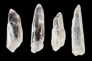 Lemurian Seed Crystal 2 1/2" Crown Chakra