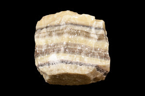 Zebra Onyx 4" 2 Lb Root Chakra