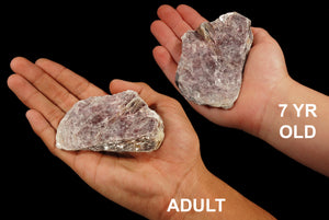 Lepidolite Mica 2 1/2" 4-7 Oz All Chakras - Kidz Rocks