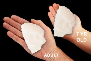 White Quartz 3" 5-7 Oz Crown Chakra - Kidz Rocks