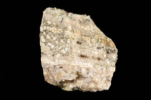 Script Fossil Jasper 2" 3-5 Oz Solar Plexus Chakra - Kidz Rocks