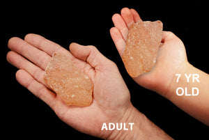 Copal Amber 3" Solar Plexus Chakra - Kidz Rocks
