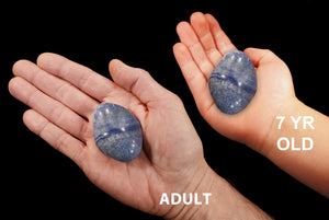 Blue Quartz 2" 3-5 Oz Throat Chakra - Kidz Rocks