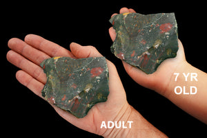 Fancy Jasper 3" 9-12 Oz Root Chakra - Kidz Rocks