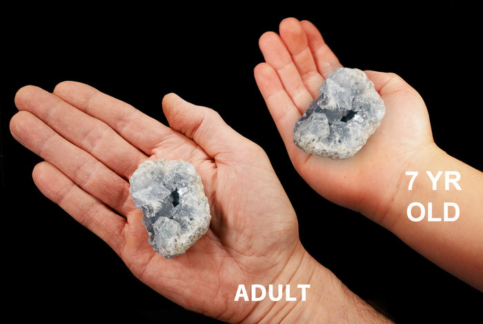 Celestite Crystal Clusters 2 1/2" 7-10 Oz Throat Chakra