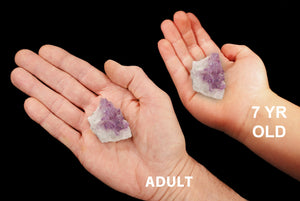 Amethyst Crystal Cluster 1 1/2" Set of 2 Third Eye Chakra - Kidz Rocks