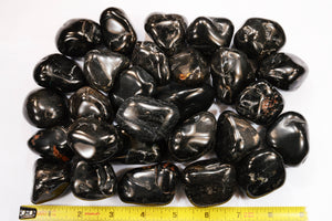 Black Onyx 1 3/4" 2-3 Oz Root Chakra - Kidz Rocks