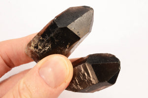 Smoky Quartz 1 1/2" Set of 2 Root Chakra - Kidz Rocks