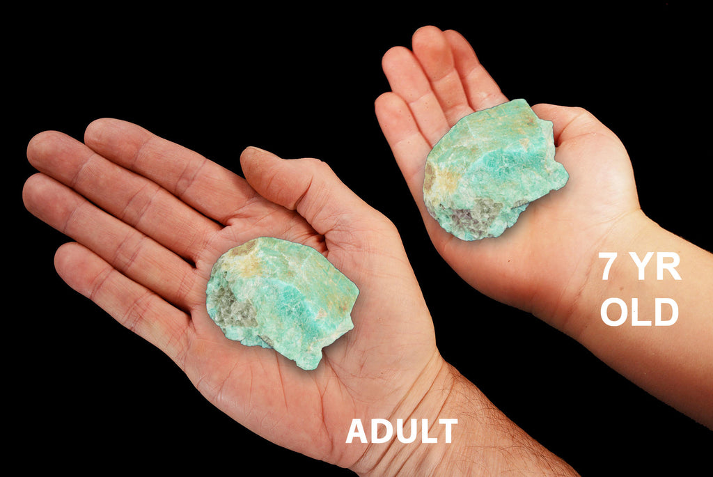 Amazonite Crystal 2" to 3" 6-8 Oz All Chakras - Kidz Rocks