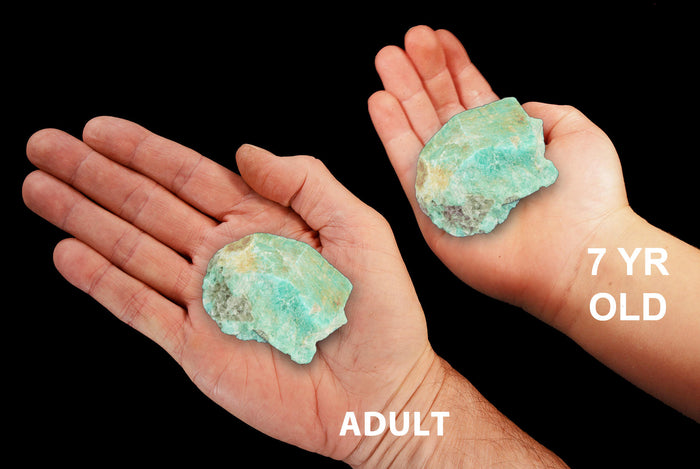 Amazonite Crystal 2" to 3" 6-8 Oz All Chakras