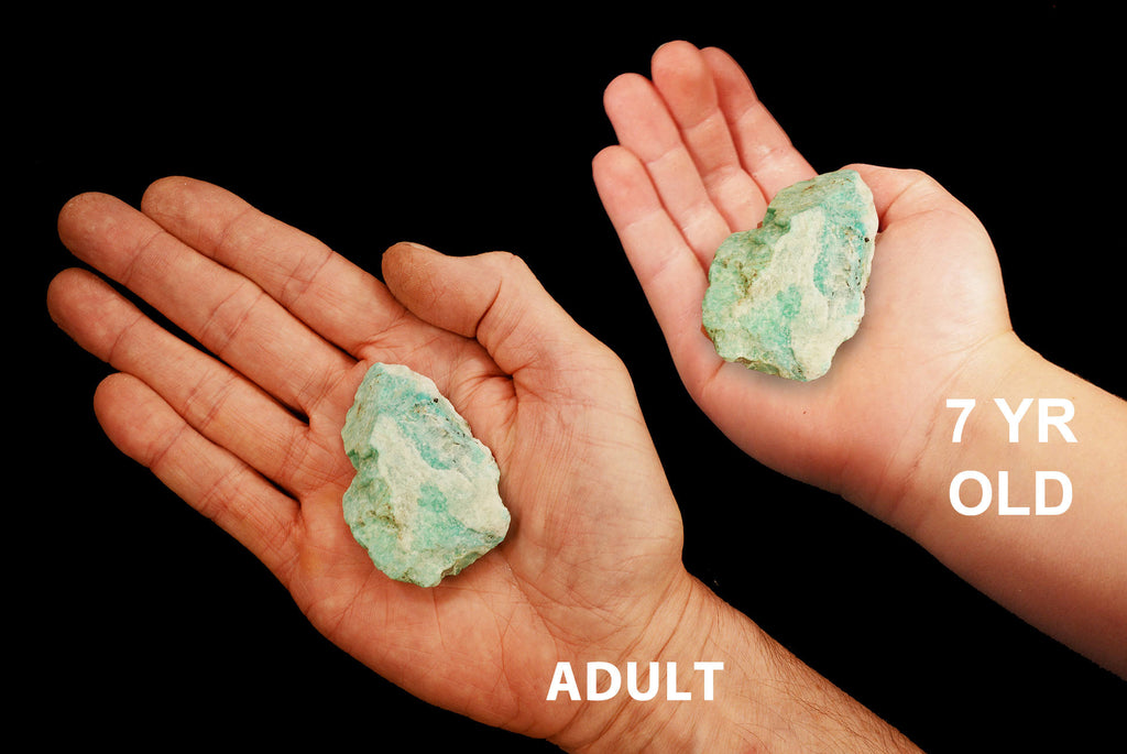 Amazonite Crystal 1" to 2" 2-4 Oz All Chakras - Kidz Rocks
