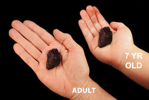 Purple Fluorite 1 1/2" 2 Oz Crown Chakra - Kidz Rocks