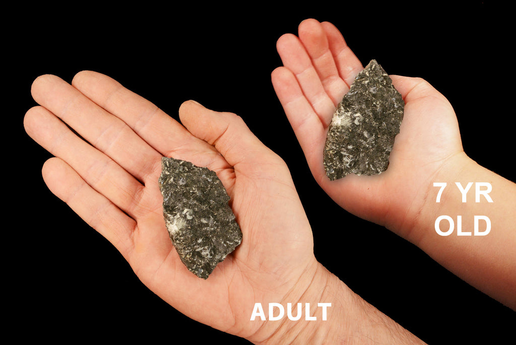 Hornblende Crystal 2" 3-5 Oz Root Chakra - Kidz Rocks