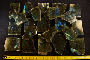 Labradorite Slice 2" Medium Grade Flash All Chakras - Kidz Rocks