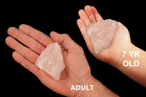 Rose Quartz Crystal 2 1/2" 4-7 Oz Heart Chakra - Kidz Rocks