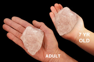 Rose Quartz Crystal 3"-4" 8-11 Oz Heart Chakra - Kidz Rocks