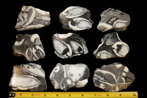 Seashell Marble Jasper Slice 2 1/2" 3-4 Oz Root Chakra - Kidz Rocks