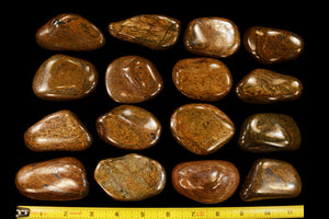 Bronzite 3" 4-6 Oz Root Chakra - Kidz Rocks