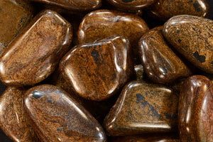 Bronzite 3" 4-6 Oz Root Chakra - Kidz Rocks