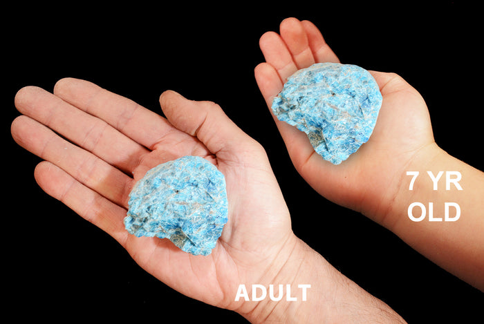 Blue Apatite 2 1/2" 6-9 Oz Throat Chakra