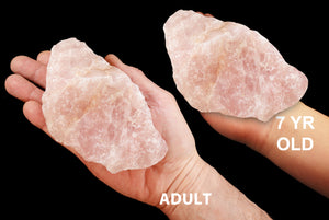 Rose Quartz Crystal 4"-5" 1 1/2 - 2 Lb Heart Chakra - Kidz Rocks