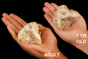 Dolomite Cluster 2 1/2" 6-10 Oz Crown Chakra - Kidz Rocks