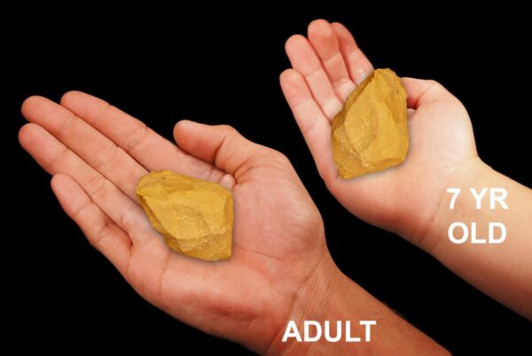 YELLOW JASPER 1 1/2" Set of 2 Raw Natural Rock Mineral Solar Plexus Chakra Raw Crystal Stone Mineral Specimen Reiki