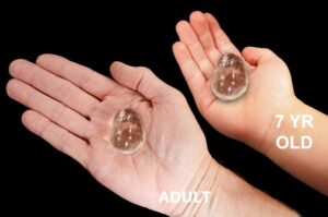 QUARTZ Crystal 1 1/2" Large Polished Tumbled Rock Mineral All Chakras Crystal Stone Natural Mineral Specimen Reiki
