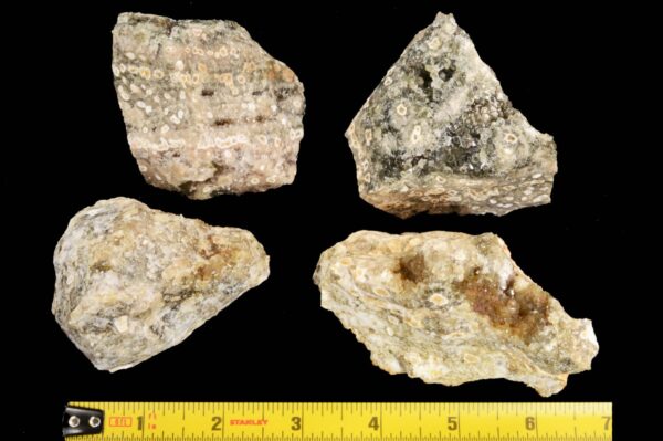 SCRIPT FOSSIL JASPER 3" 8-12 Oz Large Raw Rock Mineral Solar Plexus Chakra Crystal Stone Raw Natural Specimen Reiki - Image 3