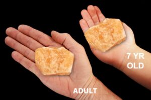 NATURAL ORANGE CALCITE 3" 8-12 Oz Large Crystal Raw Rock Mineral Sacral Chakra Crystal Stone Raw Natural Specimen