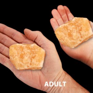 NATURAL ORANGE CALCITE 3" 8-12 Oz Large Crystal Raw Rock Mineral Sacral Chakra Crystal Stone Raw Natural Specimen