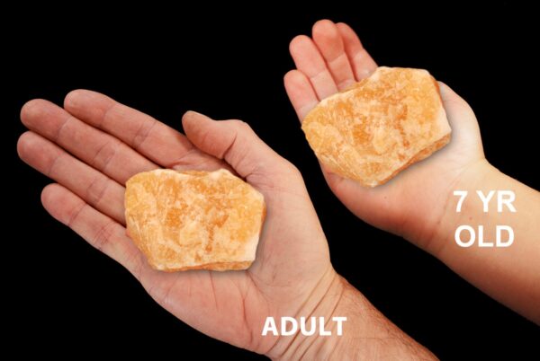 NATURAL ORANGE CALCITE 3" 8-12 Oz Large Crystal Raw Rock Mineral Sacral Chakra Crystal Stone Raw Natural Specimen