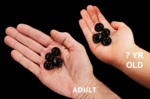 APACHE TEAR Polished 3/4" Set of 4 Tumbled Pieces Rock Mineral Root Chakra Crystal Stone Natural Specimen Reiki Gemstone
