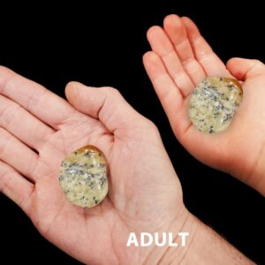 DENDITE AGATE 2" Large Tumbled Polished Rock Mineral Throat Chakra Crystal Stone Natural Mineral Specimen Reiki