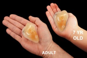 CITRINE CRYSTAL 2" 2-3 Oz Extra Large Tumbled Stone Polished Sacral Chakra Rock Mineral Specimen Crystal Chakra Gemstone