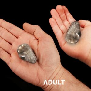 CATS EYE AGATE 1 3/4" Large Tumbled Stone Polished Rock Mineral Root Chakra Crystal Stone Natural Specimen Reiki