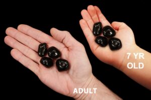 APACHE TEAR 1" Set of 4 Pieces Tumbled Polished Rock Mineral Root Chakra Crystal Stone Natural Specimen Reiki Gemstone