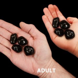 APACHE TEAR 1" Set of 4 Pieces Tumbled Polished Rock Mineral Root Chakra Crystal Stone Natural Specimen Reiki Gemstone